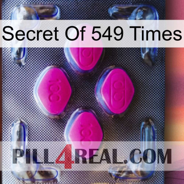 Secret Of 549 Times 02.jpg